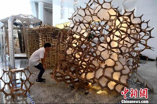 铜奖作品哈尔滨工业大学的作品《藕联》。张斌摄。